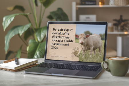 Devenir expert en calopsitte élevage : guide passionnant 2026