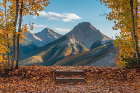 L'été indien au Canada : un spectacle naturel à couper le souffle